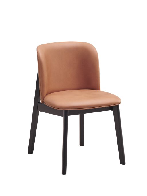 Side Chair Set