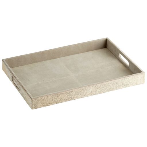Tray