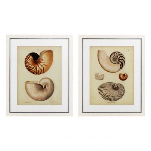 Wall Deco