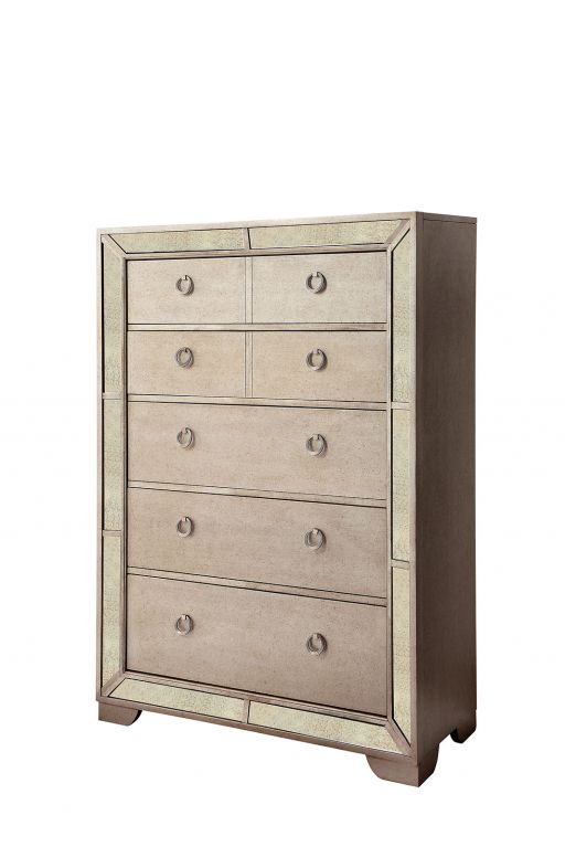 Chest