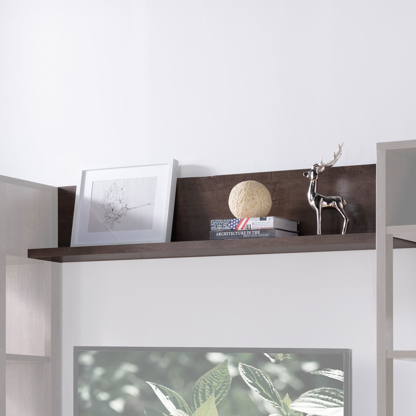 Shelf