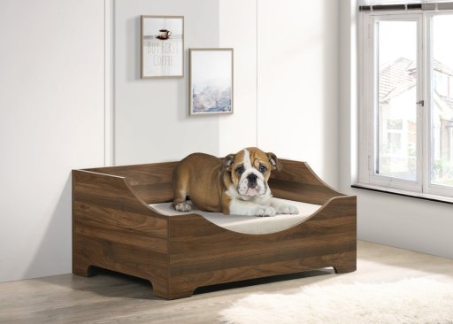 Pet Bed with Cushion