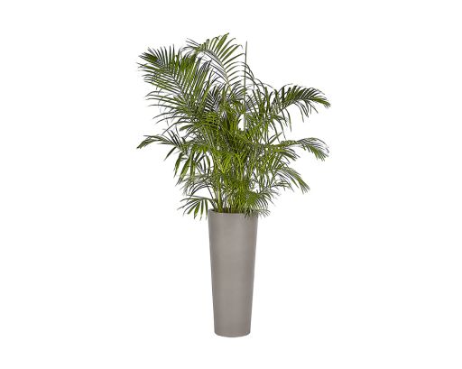 Planter