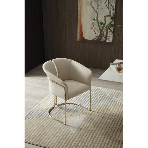 Dining Chairs