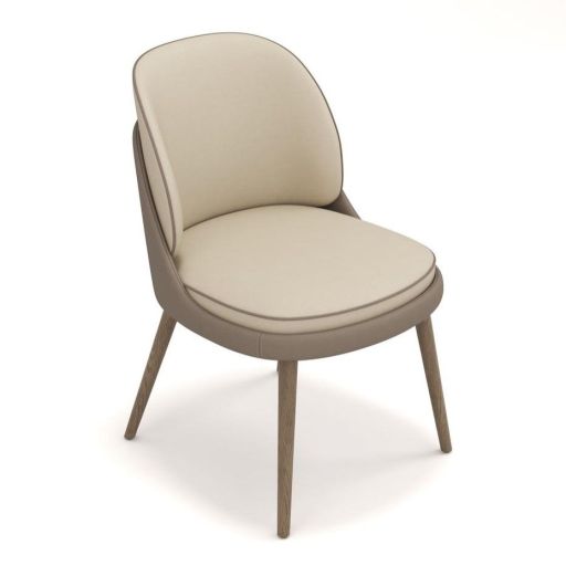 Dining Chair Set of 2