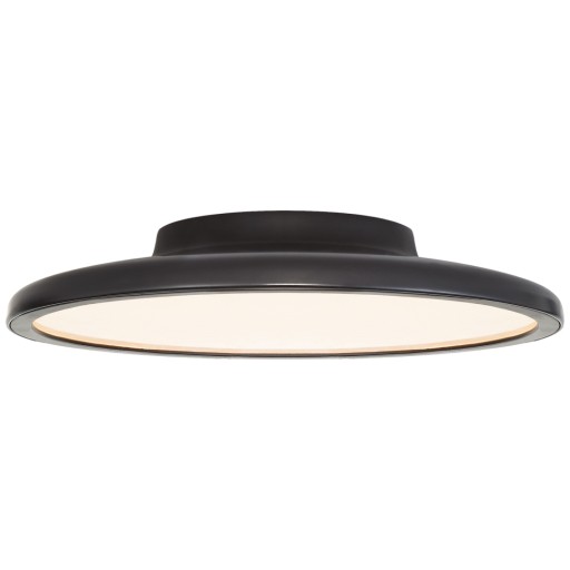 Ceiling Light