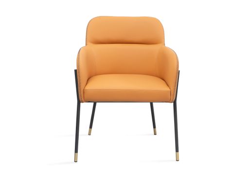 Arm Chair